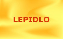 Lepidlo ME-9001